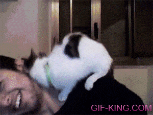 Let Me Love You- gif-king
